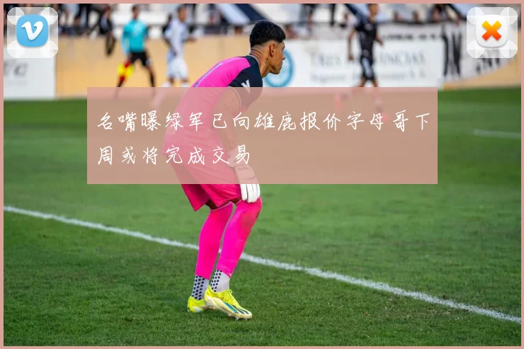 名嘴曝绿军已向雄鹿报价字母哥下周或将完成交易